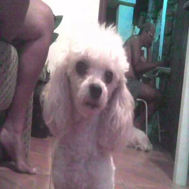 Bebê