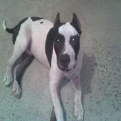 tyson
