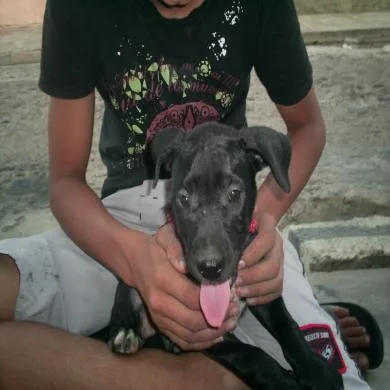 preta