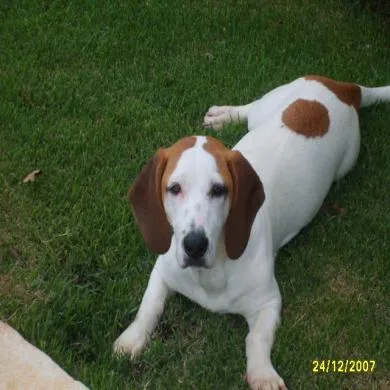 jully