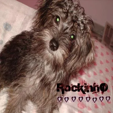 Rock