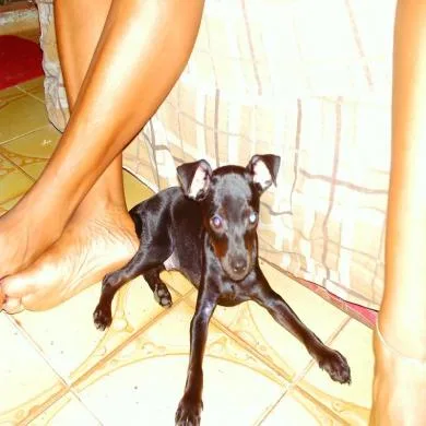 Pretinho