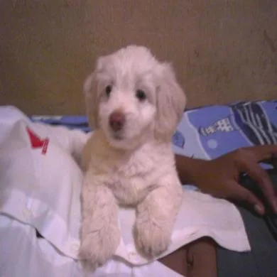 Nicky