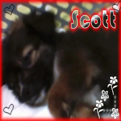 Scott