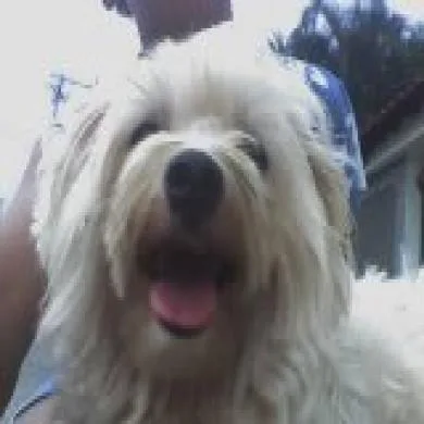 fredd