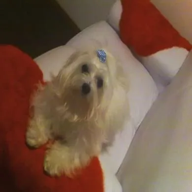 Dadinho