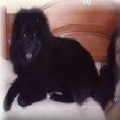 Zoltão