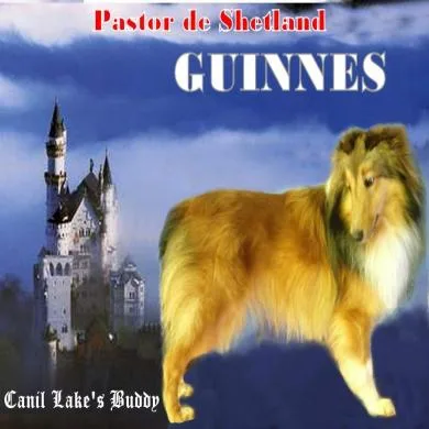 Guiness