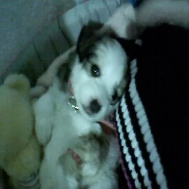 Molly