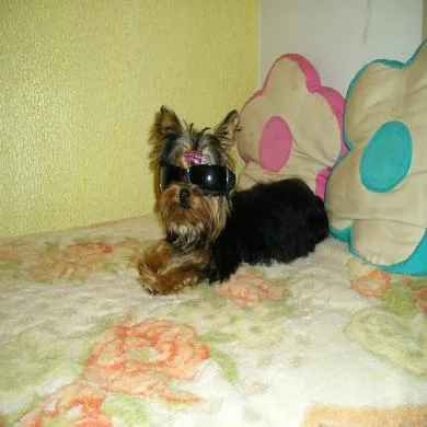 Jolie