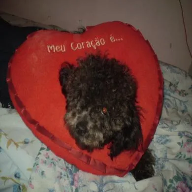 Baby