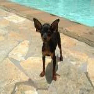 lupita