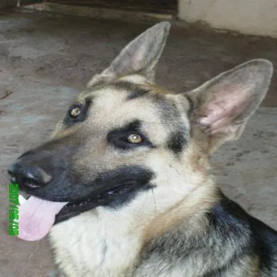 Luke