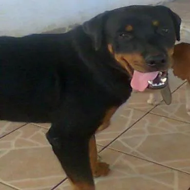 Luan