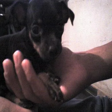 Brenda 