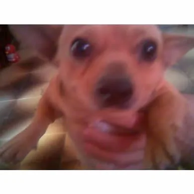 yago