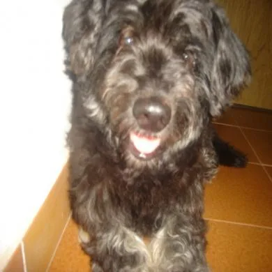 Dalila
