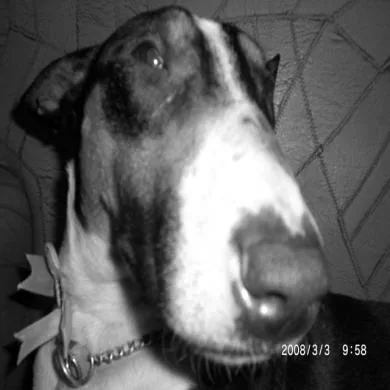 Hannah