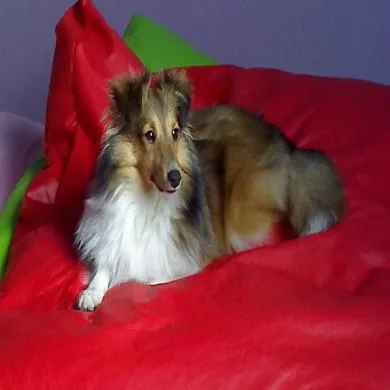Sissi