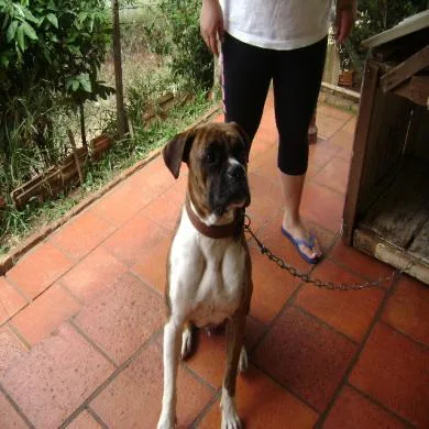 zeus