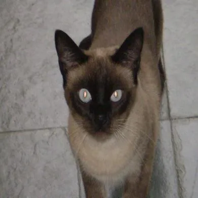 Nina