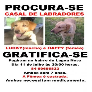 LUCKY E HAPPY