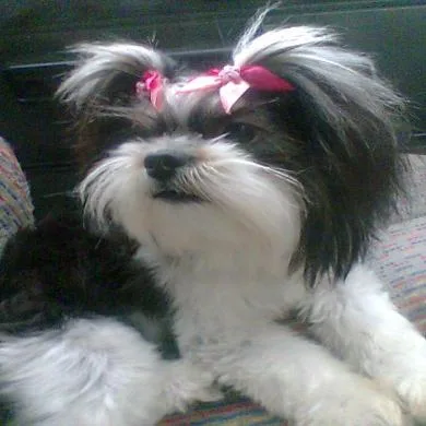 Chiquita