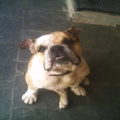 orácio