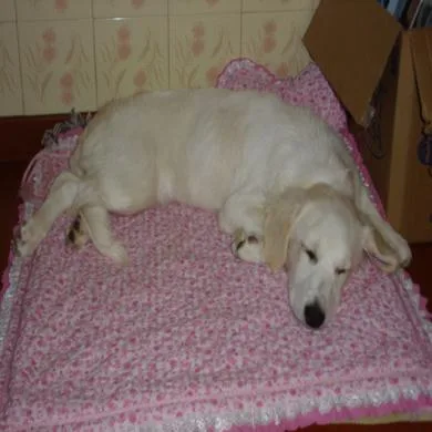 Lunna
