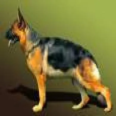 mel