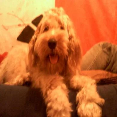 Bartimeu (barty)