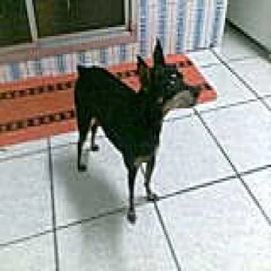 Kenia