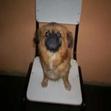 BOB 