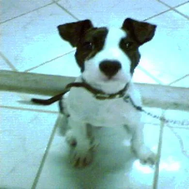Athos