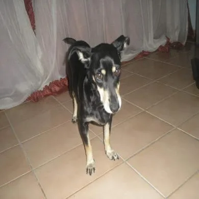 mily