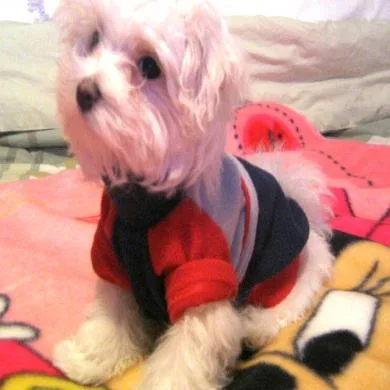 Jully Paris