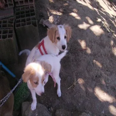 Kelly(a gordinha) e Keyla