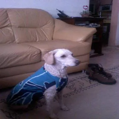 Muleque