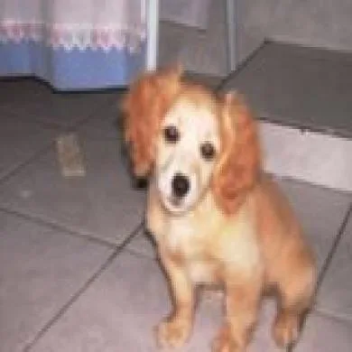 ralf