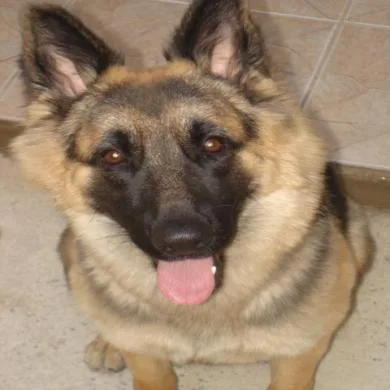 Kira