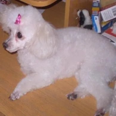Jully