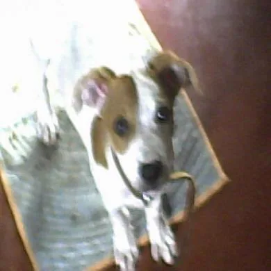 PRINCESA
