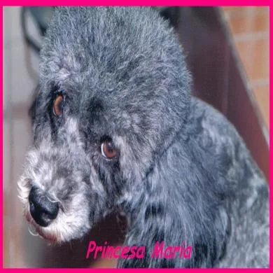 Princesa Maria