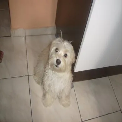 Mirella