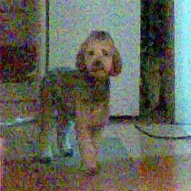 Zeus