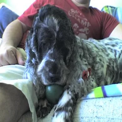 Jully