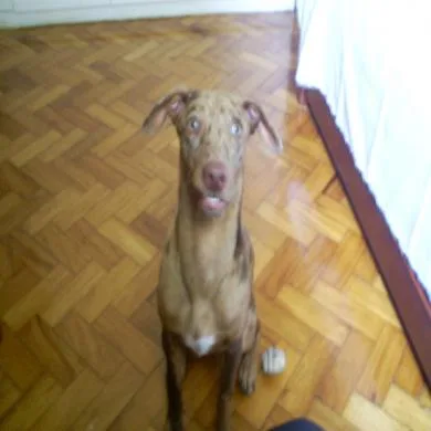 BILI