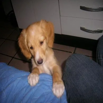 Athena