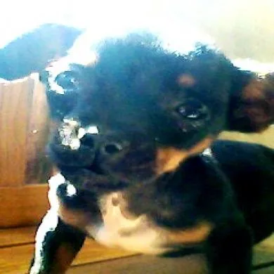 Tutty