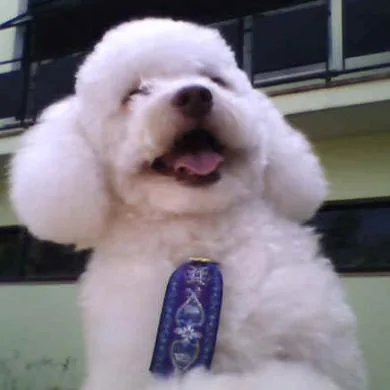 biba